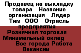 Продавец на выкладку товара › Название организации ­ Лидер Тим, ООО › Отрасль предприятия ­ Розничная торговля › Минимальный оклад ­ 17 600 - Все города Работа » Вакансии   . Мурманская обл.,Оленегорск г.
